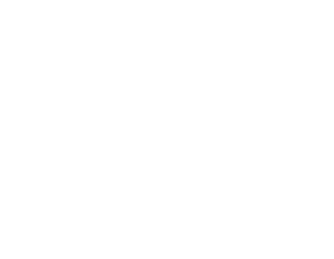 NS Mobilya logosu